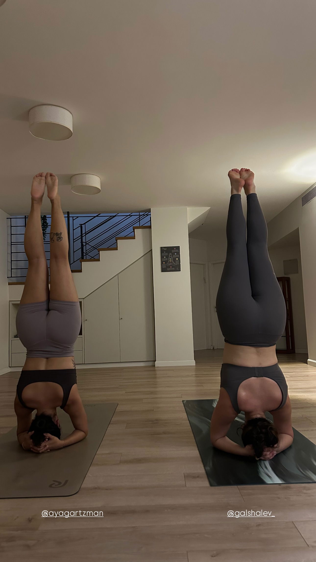 talweisswasser instagram image archive image