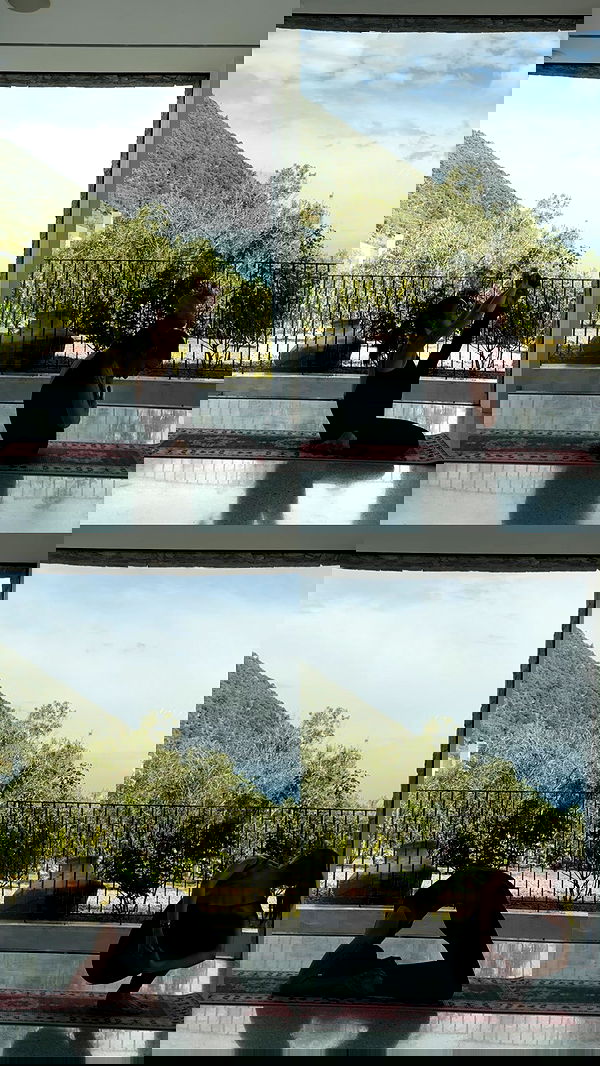 talweisswasser image ~ Altpins