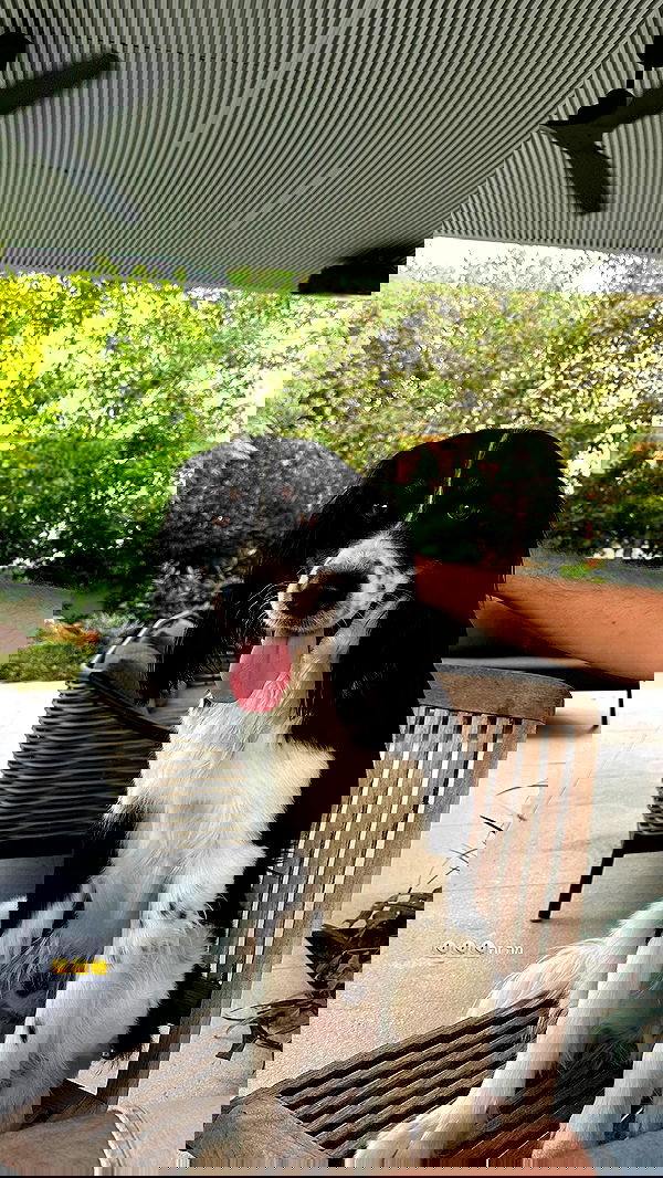 talweisswasser image ~ Altpins