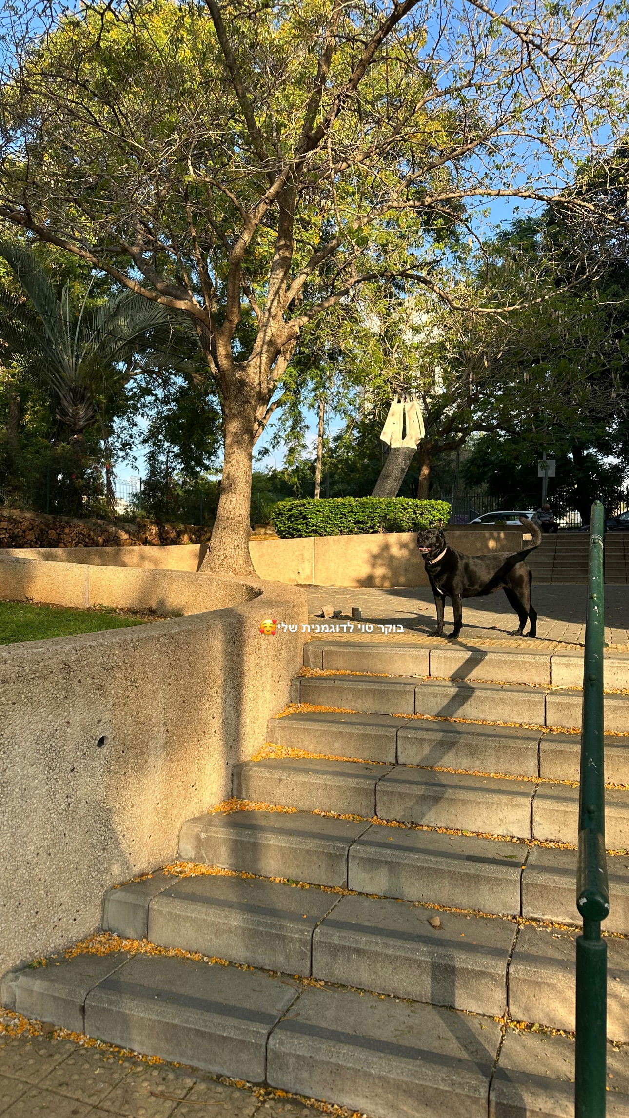 talweisswasser instagram image archive image