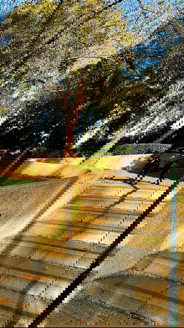 talweisswasser image ~ Altpins