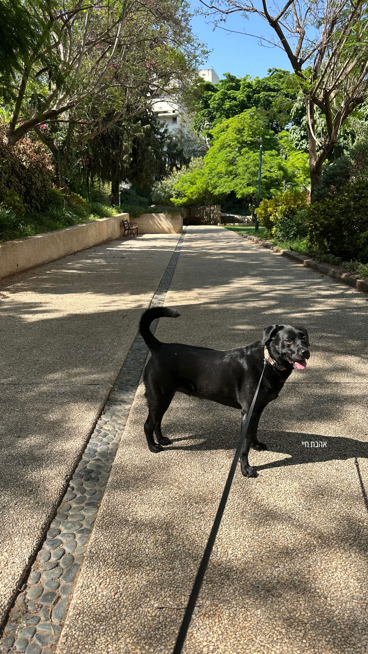 talweisswasser instagram image archive image