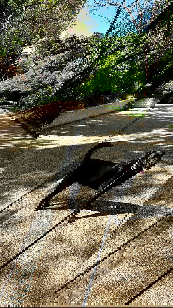 talweisswasser image ~ Altpins