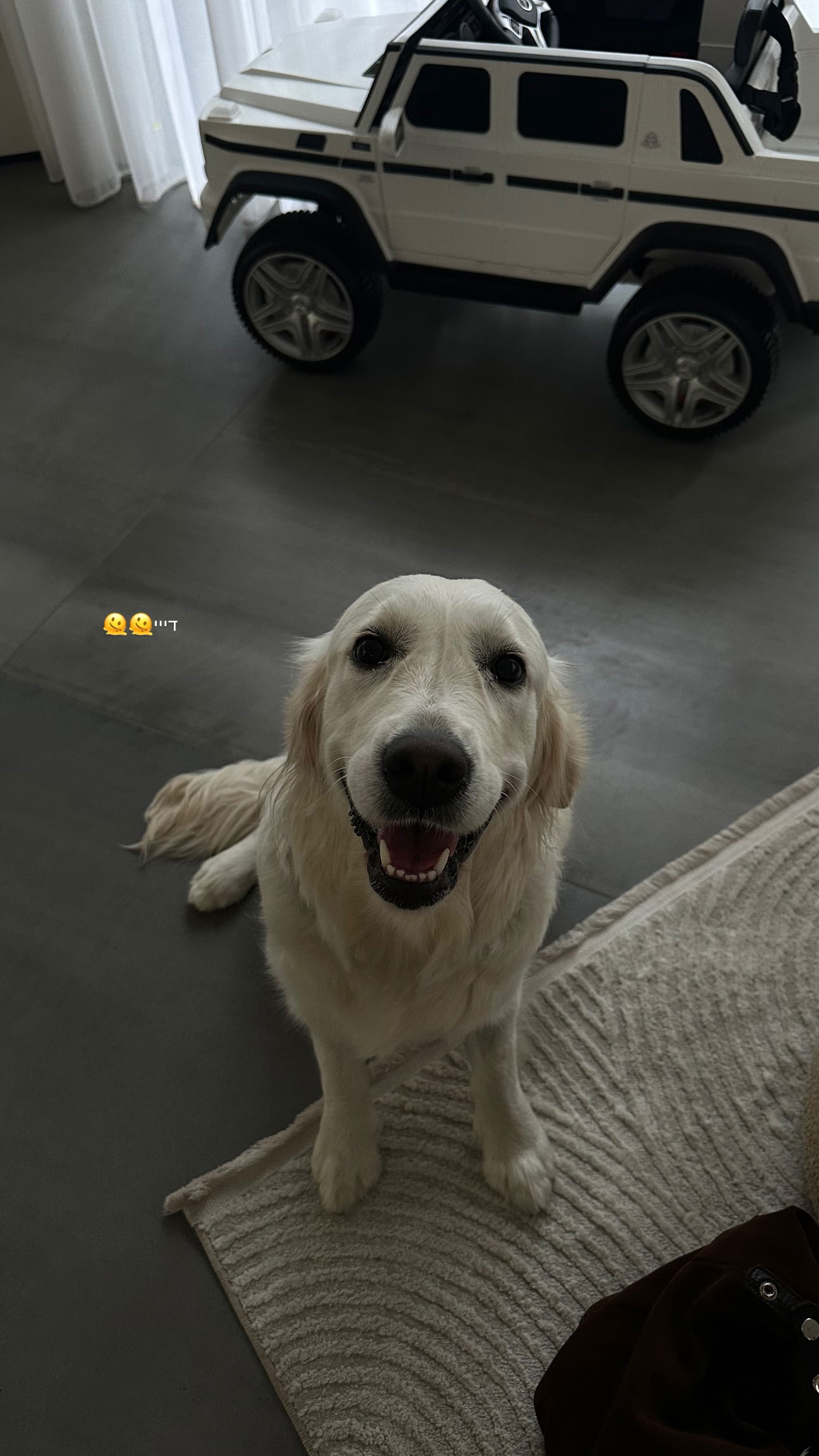 talweisswasser instagram image archive image