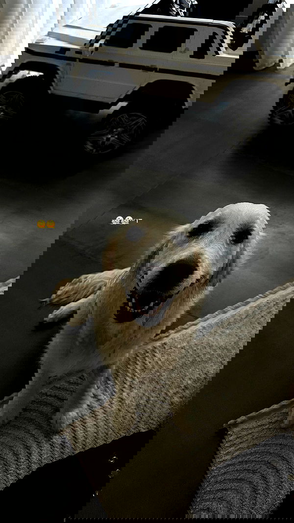 talweisswasser image ~ Altpins