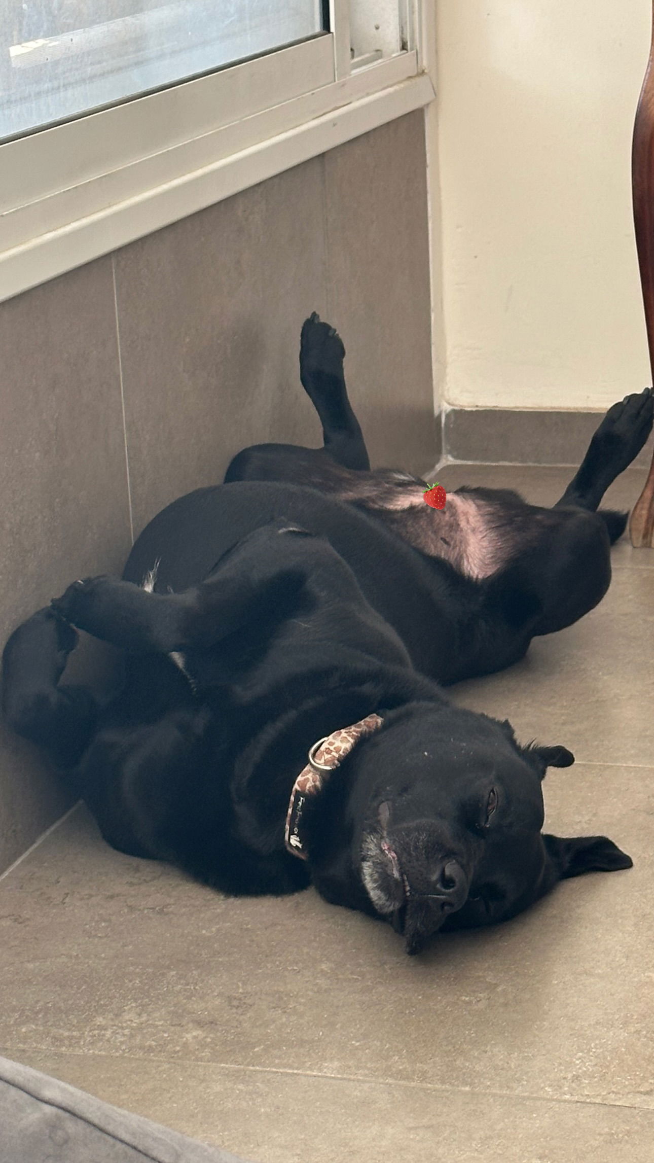 talweisswasser instagram image archive image