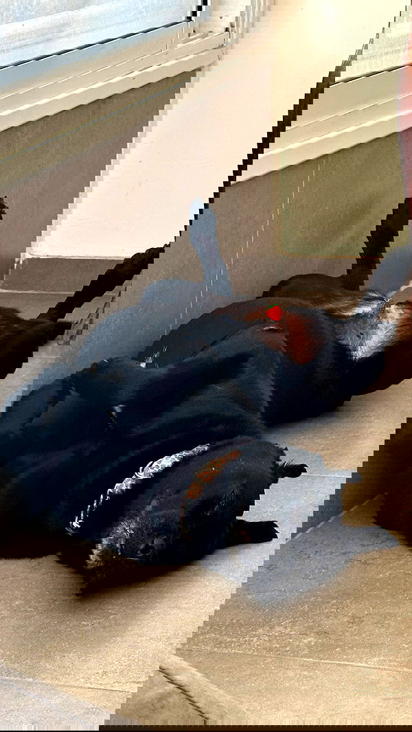 talweisswasser image ~ Altpins