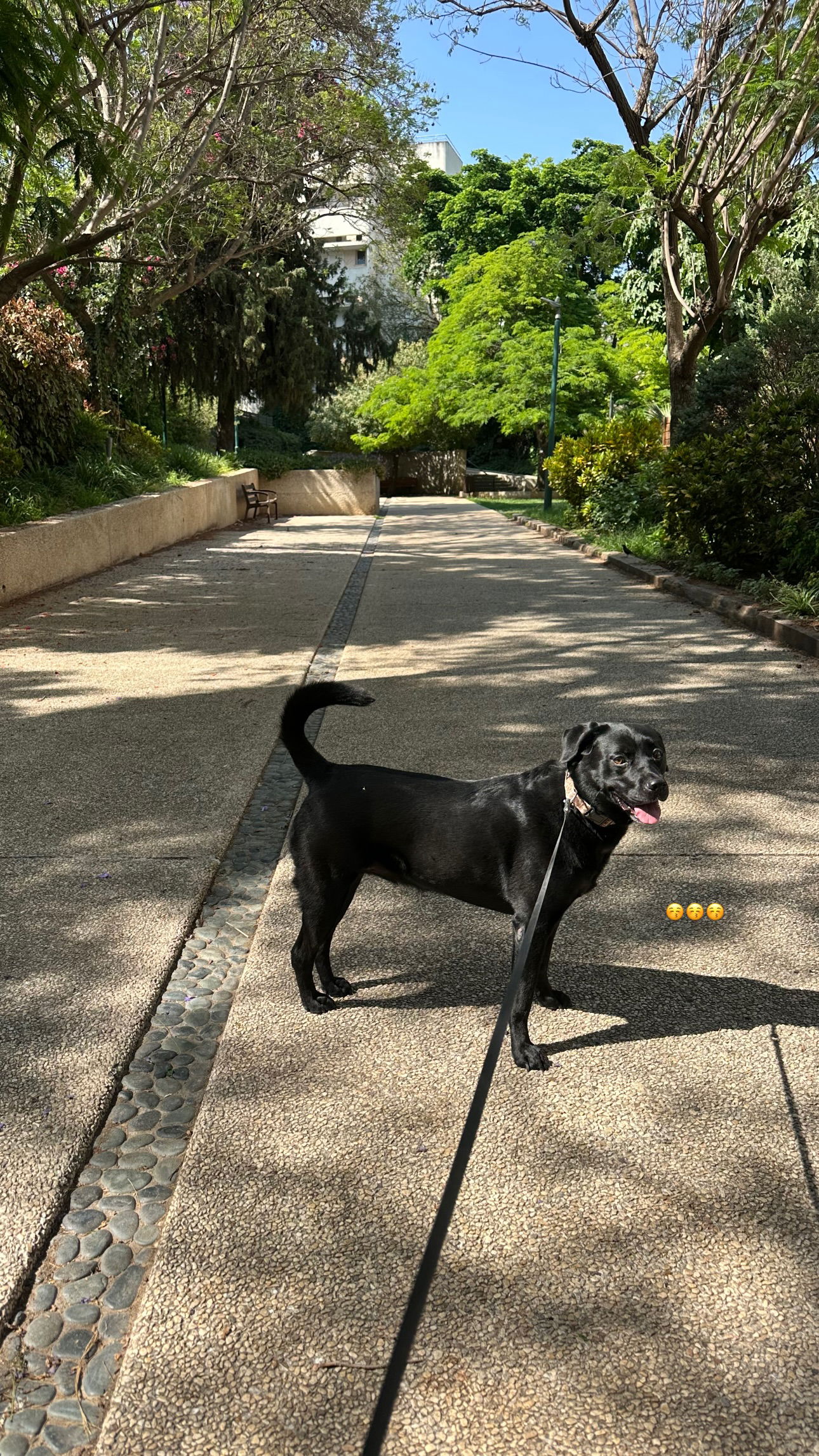 talweisswasser instagram image archive image