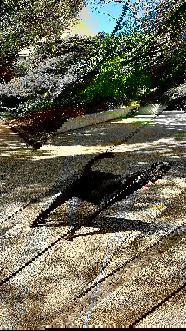 talweisswasser image ~ Altpins