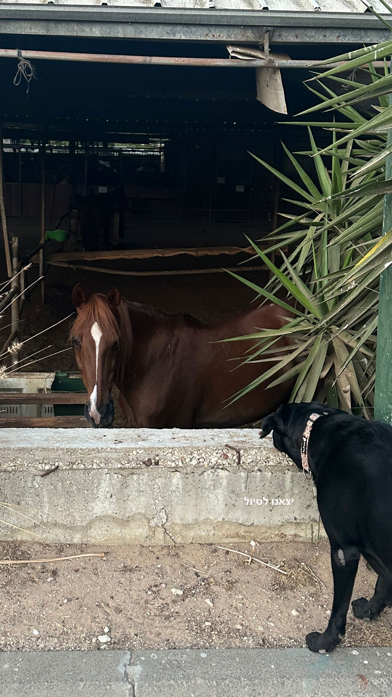 talweisswasser instagram image archive image