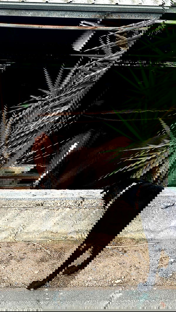 talweisswasser image ~ Altpins