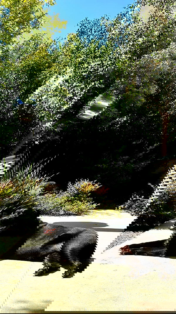 talweisswasser image ~ Altpins