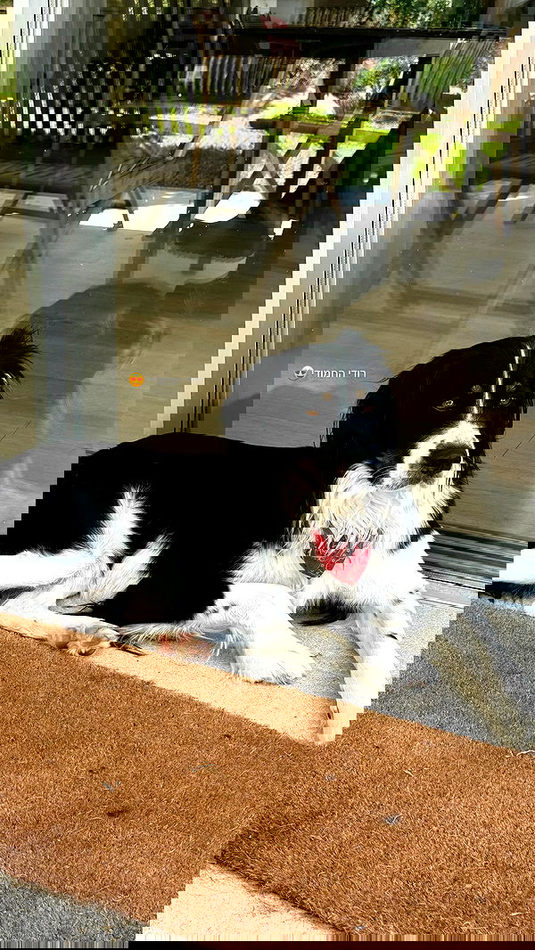 talweisswasser image ~ Altpins