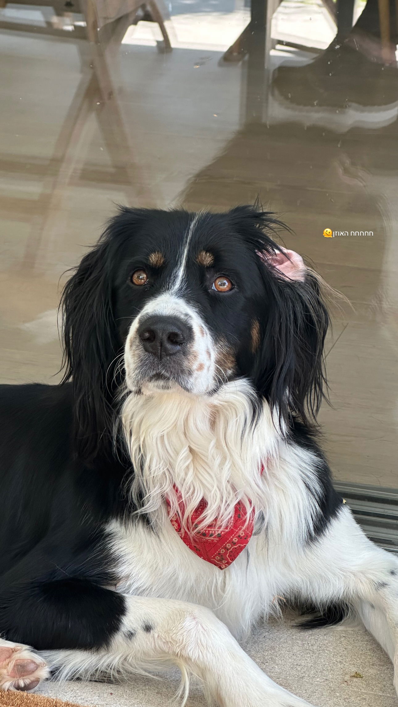 talweisswasser instagram image archive image