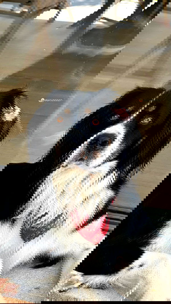 talweisswasser image ~ Altpins