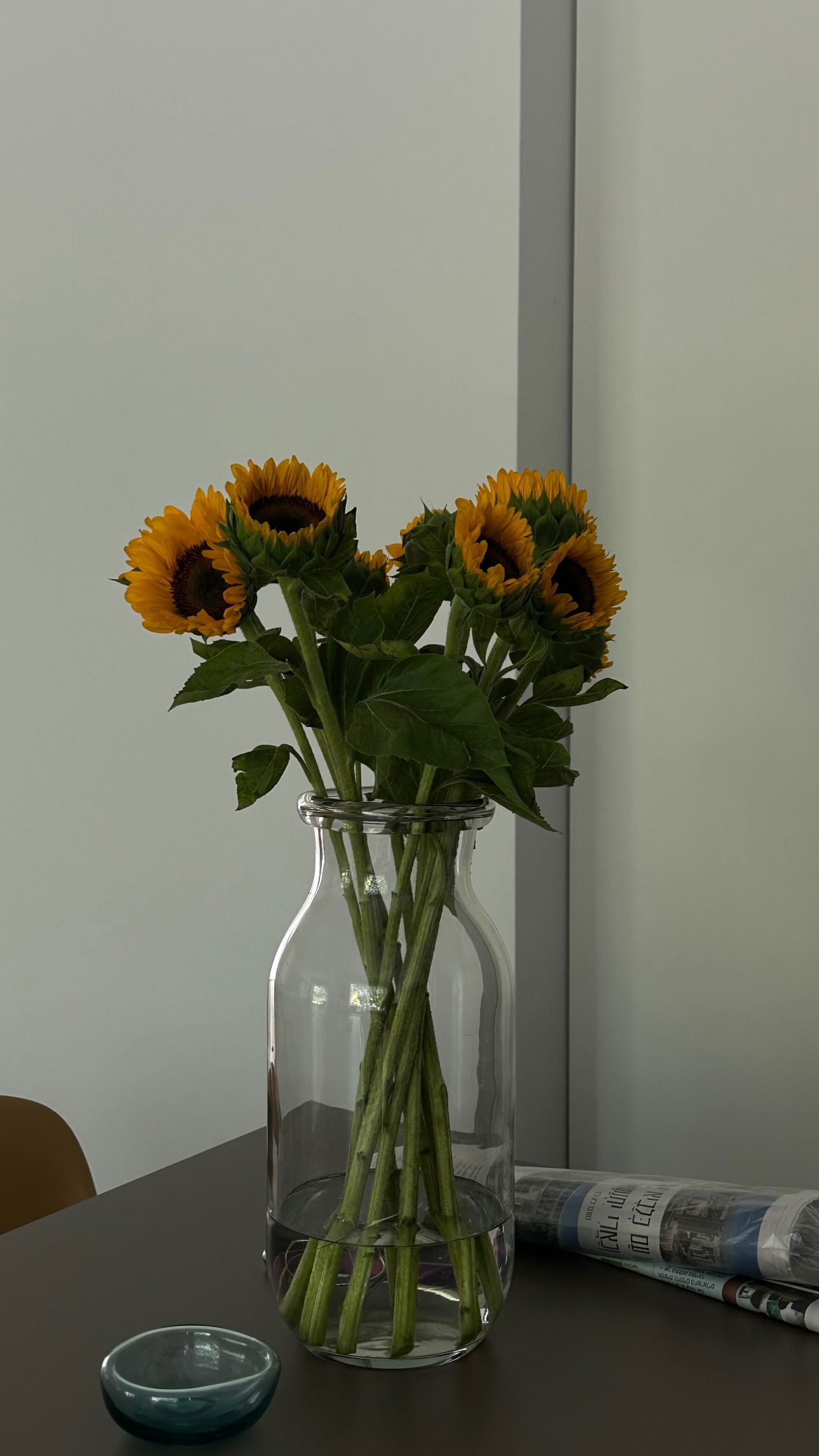 talweisswasser instagram image archive image