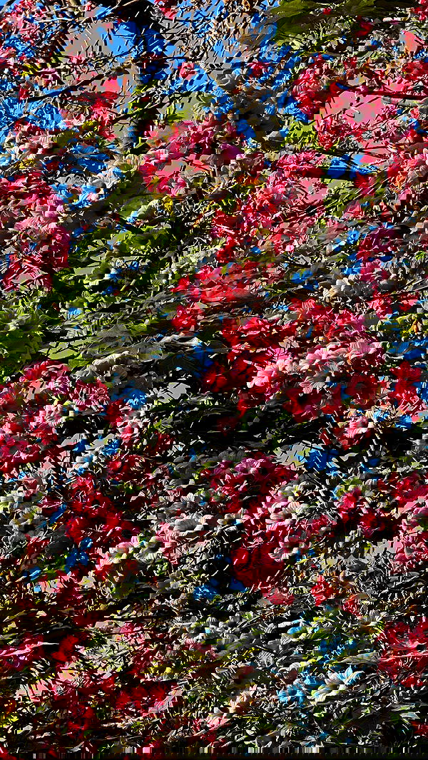 talweisswasser image ~ Altpins