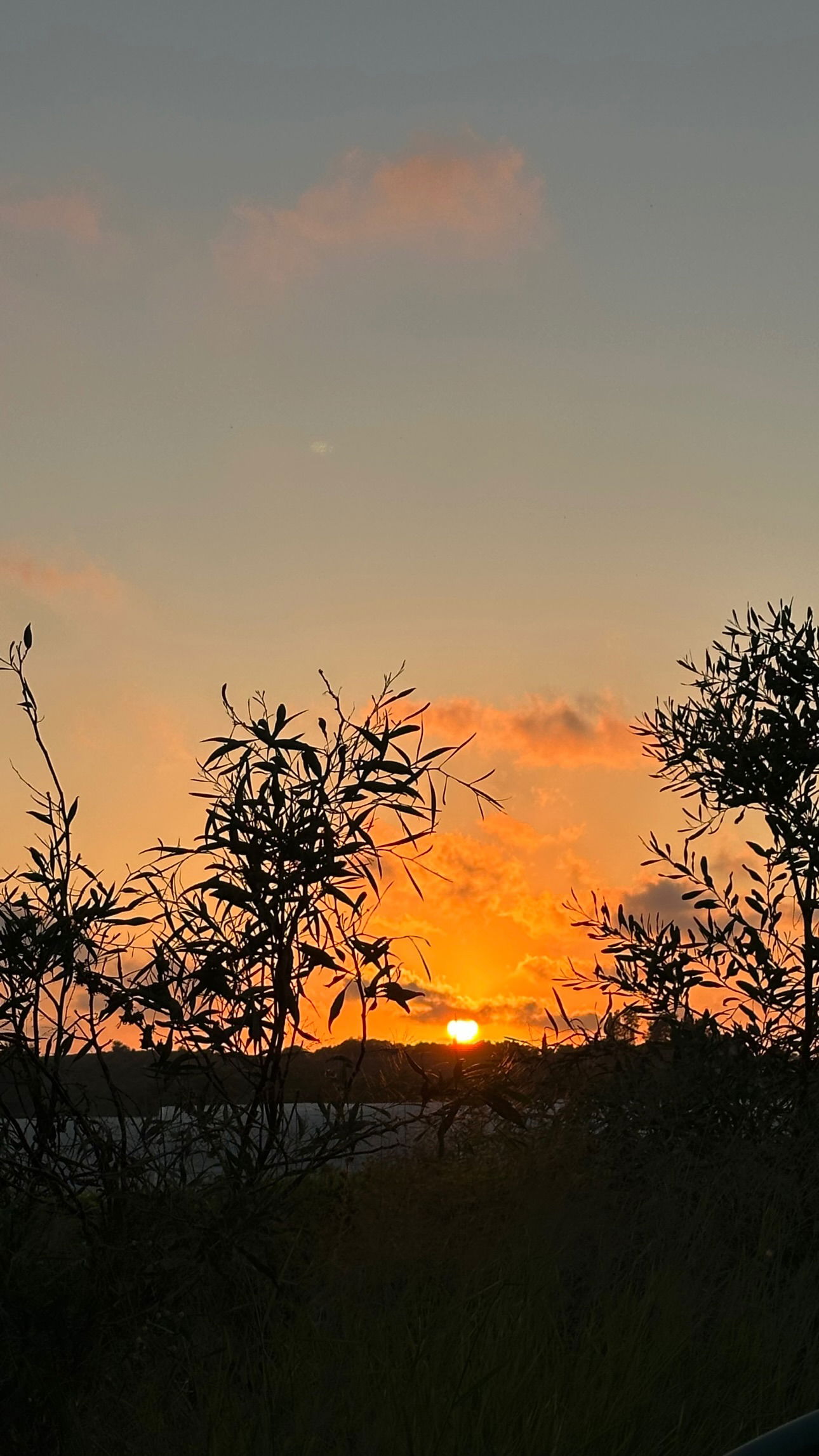 talweisswasser instagram image archive image