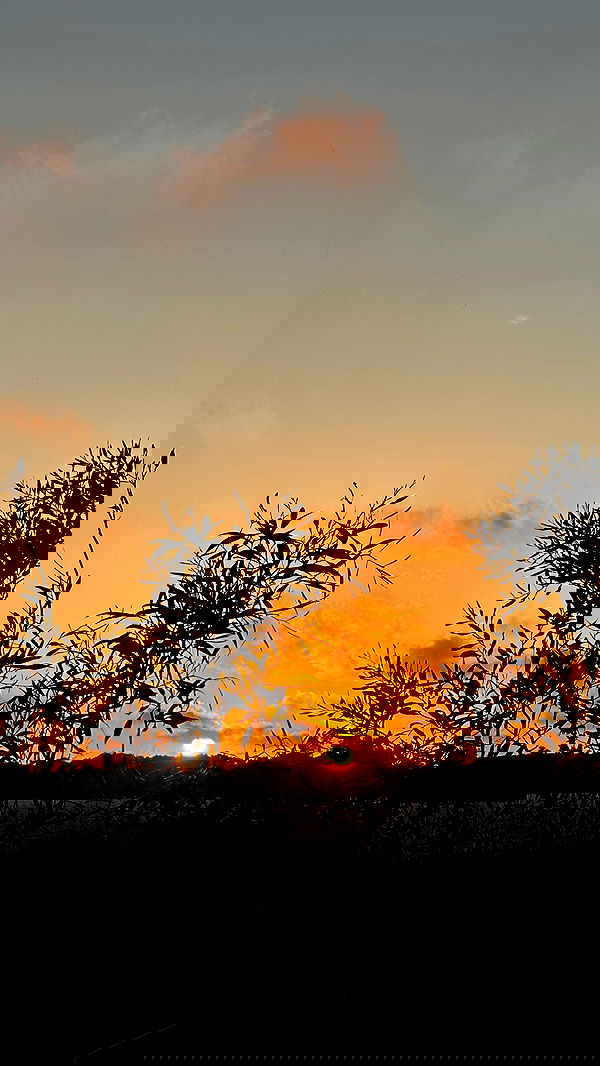 talweisswasser image ~ Altpins