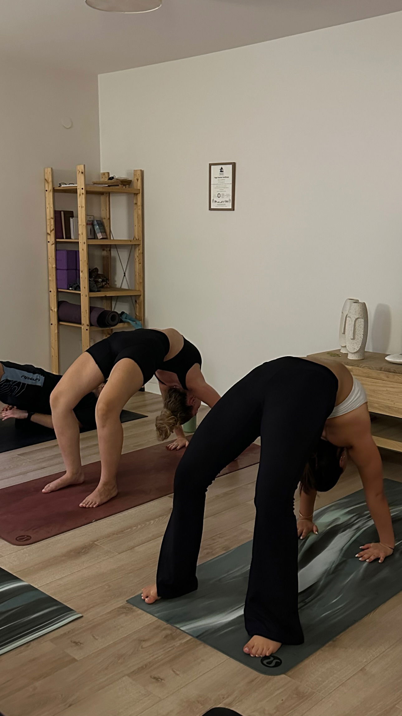 talweisswasser instagram image archive image