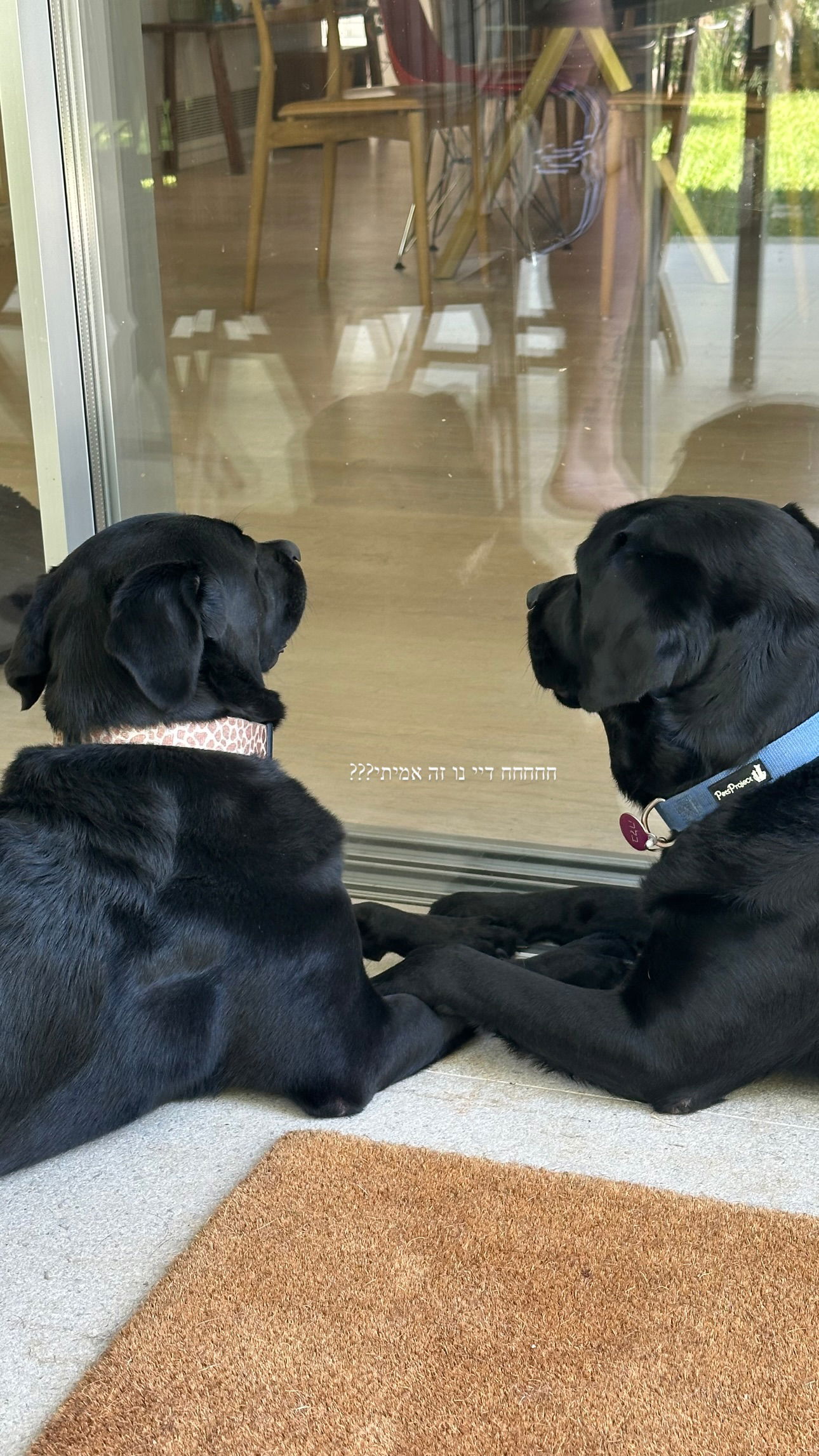 talweisswasser instagram image archive image