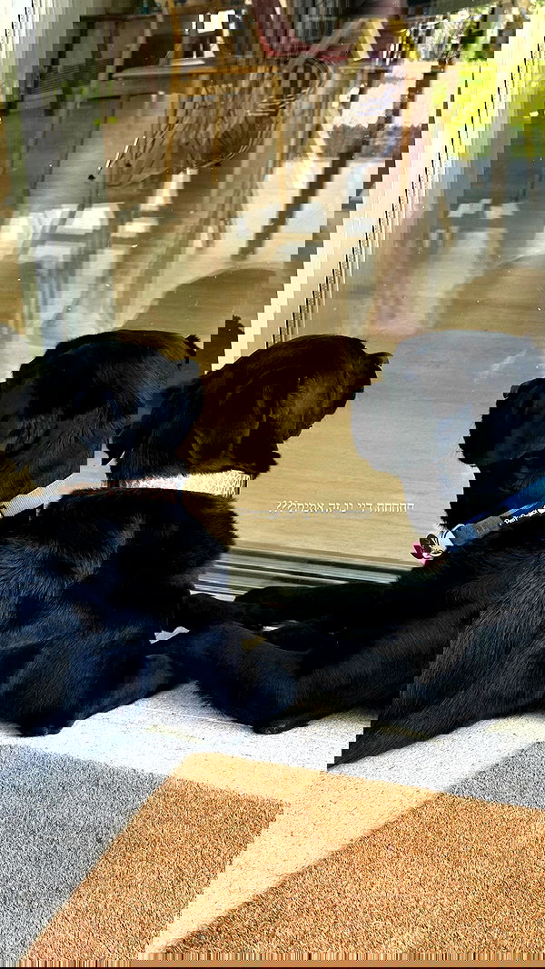 talweisswasser image ~ Altpins