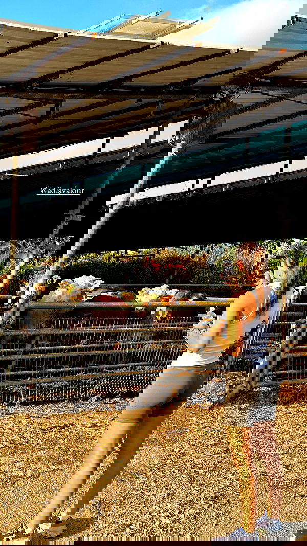 talweisswasser image ~ Altpins