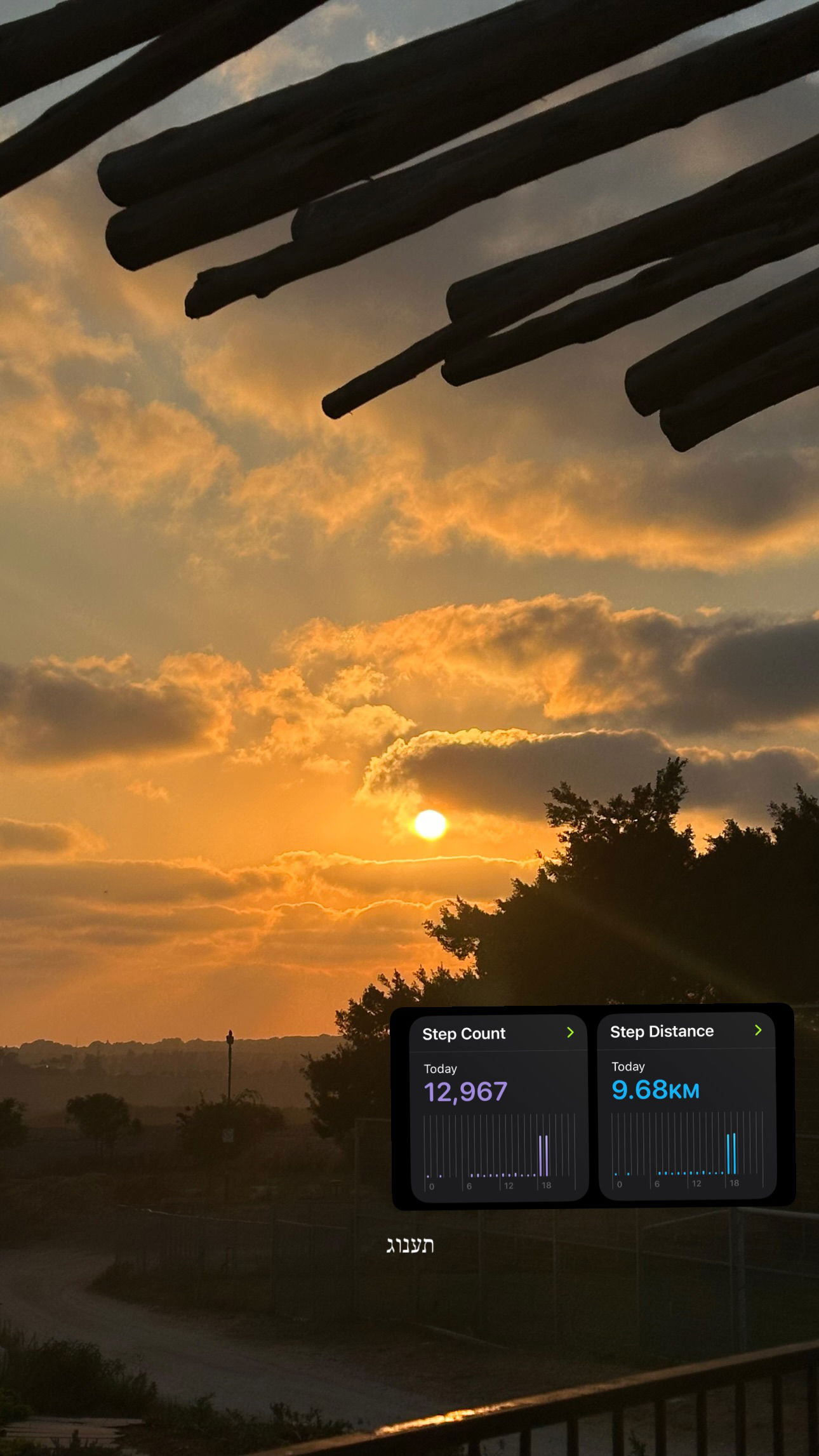 talweisswasser instagram image archive image