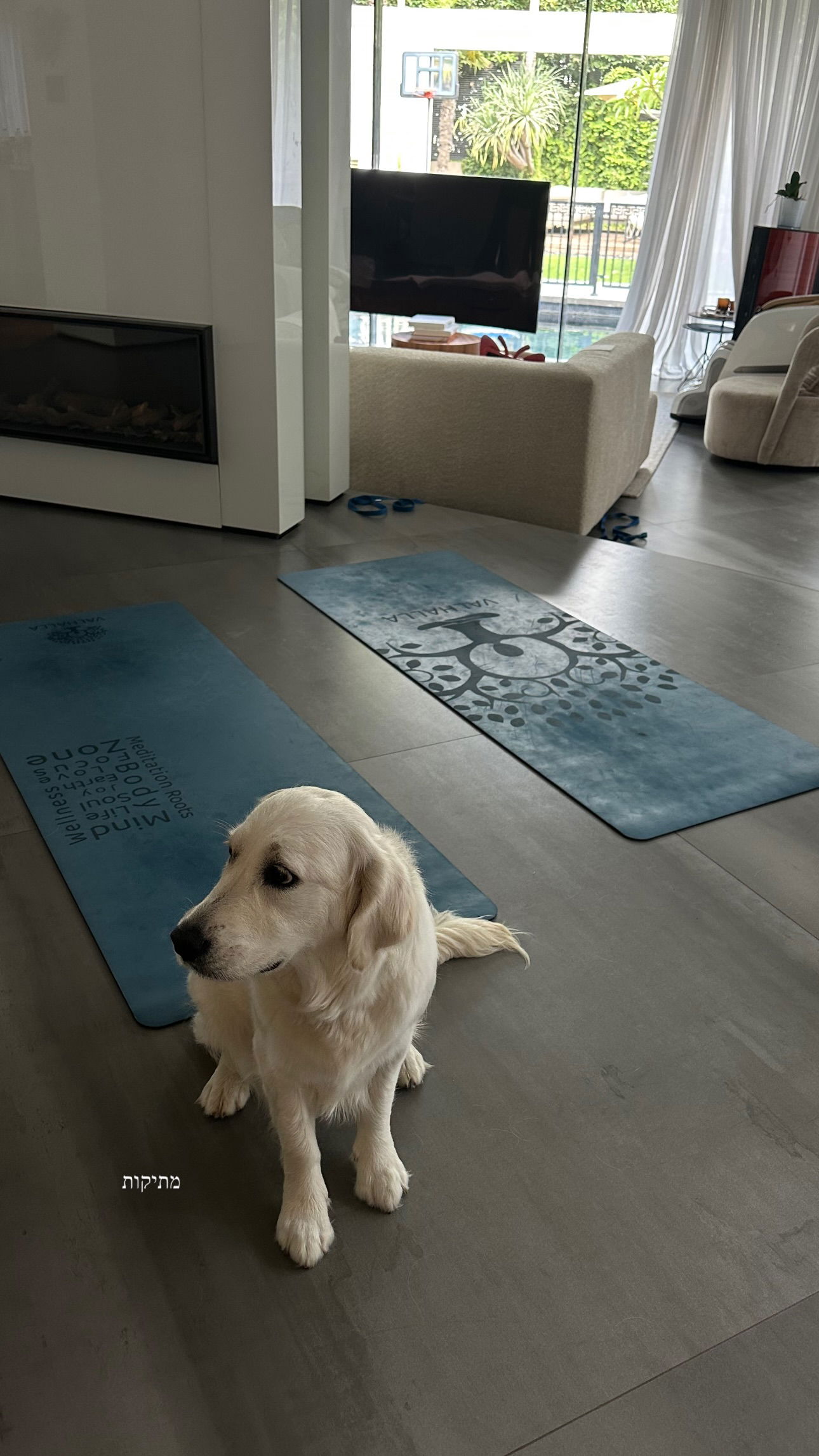 talweisswasser instagram image archive image