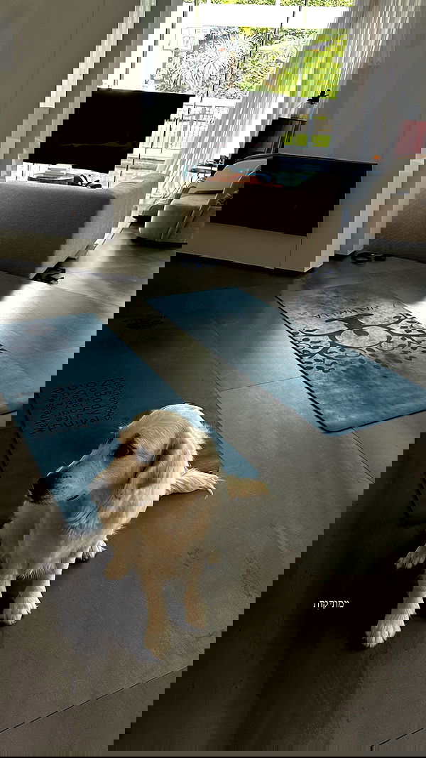 talweisswasser image ~ Altpins