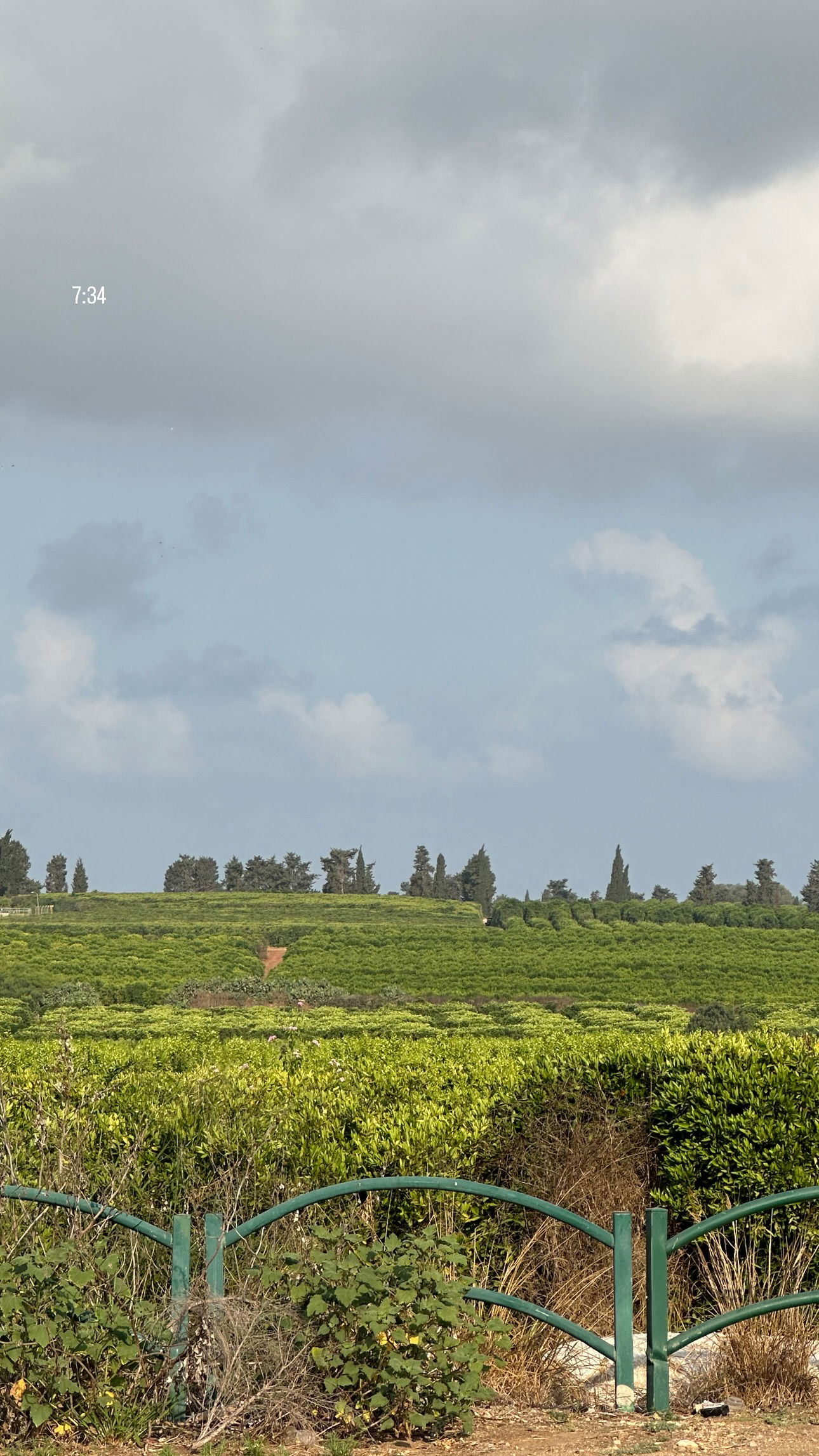 talweisswasser instagram image archive image