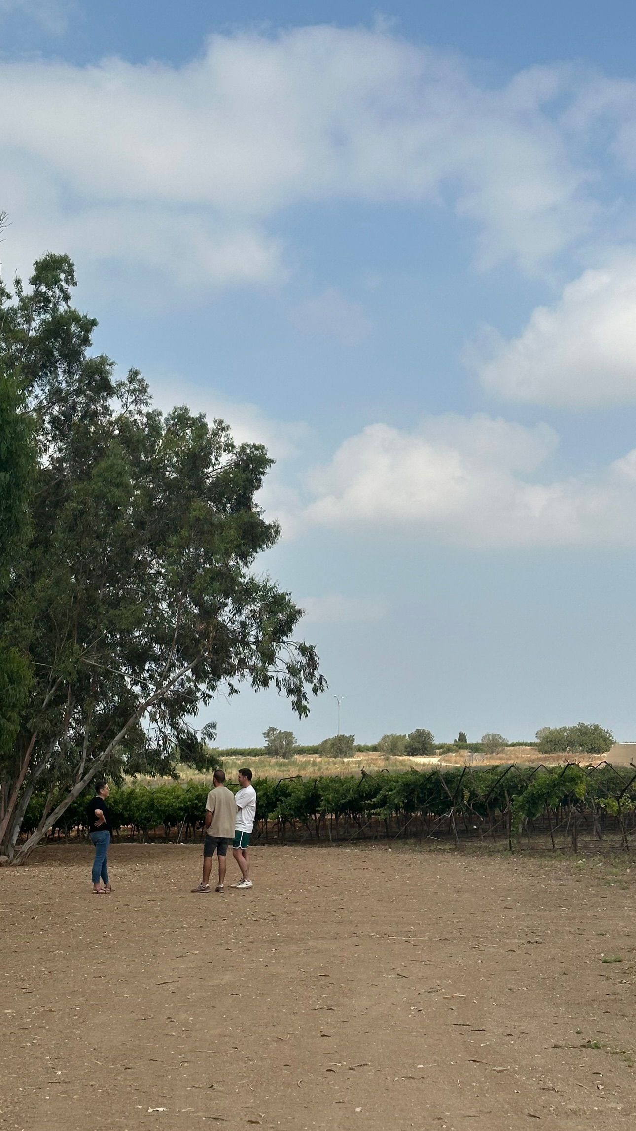 talweisswasser instagram image archive image