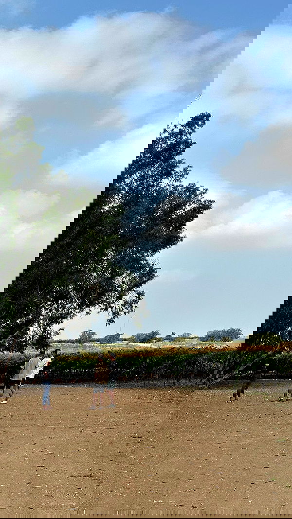 talweisswasser image ~ Altpins