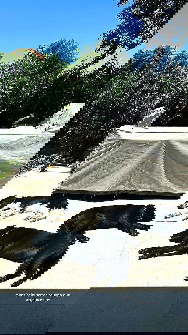 talweisswasser image ~ Altpins