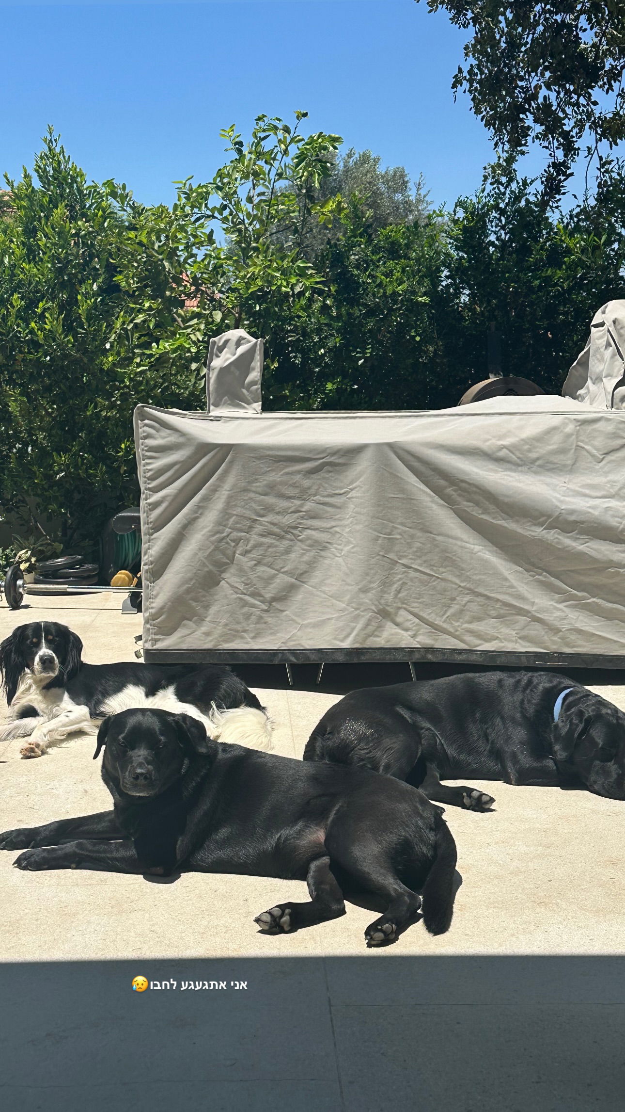 talweisswasser instagram image archive image