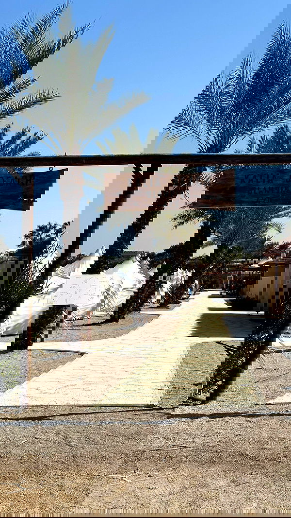 talweisswasser image ~ Altpins