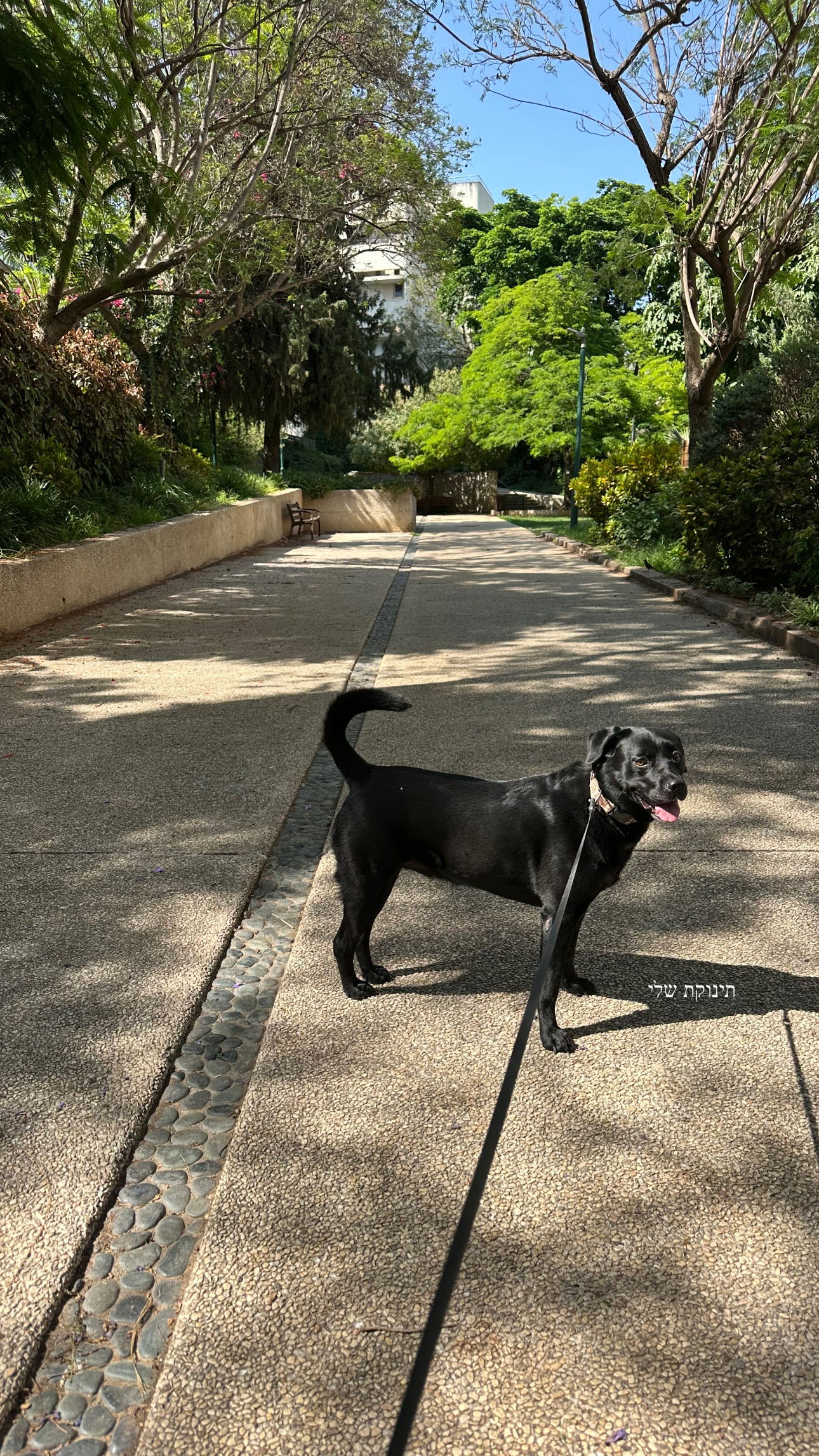 talweisswasser instagram image archive image