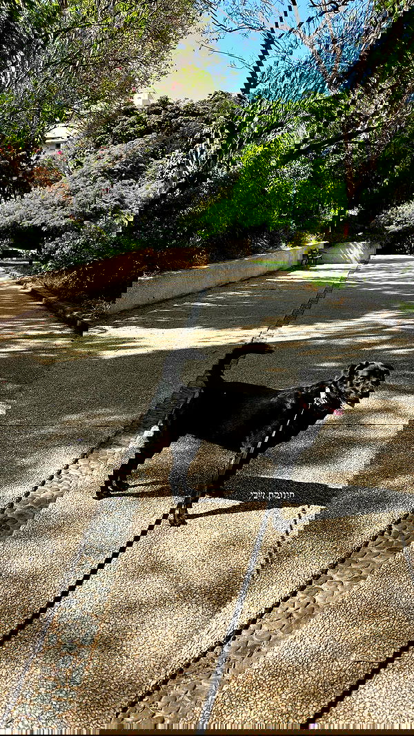 talweisswasser image ~ Altpins