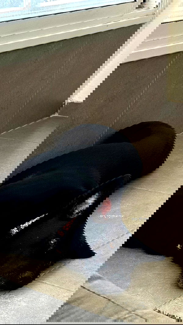 talweisswasser image ~ Altpins