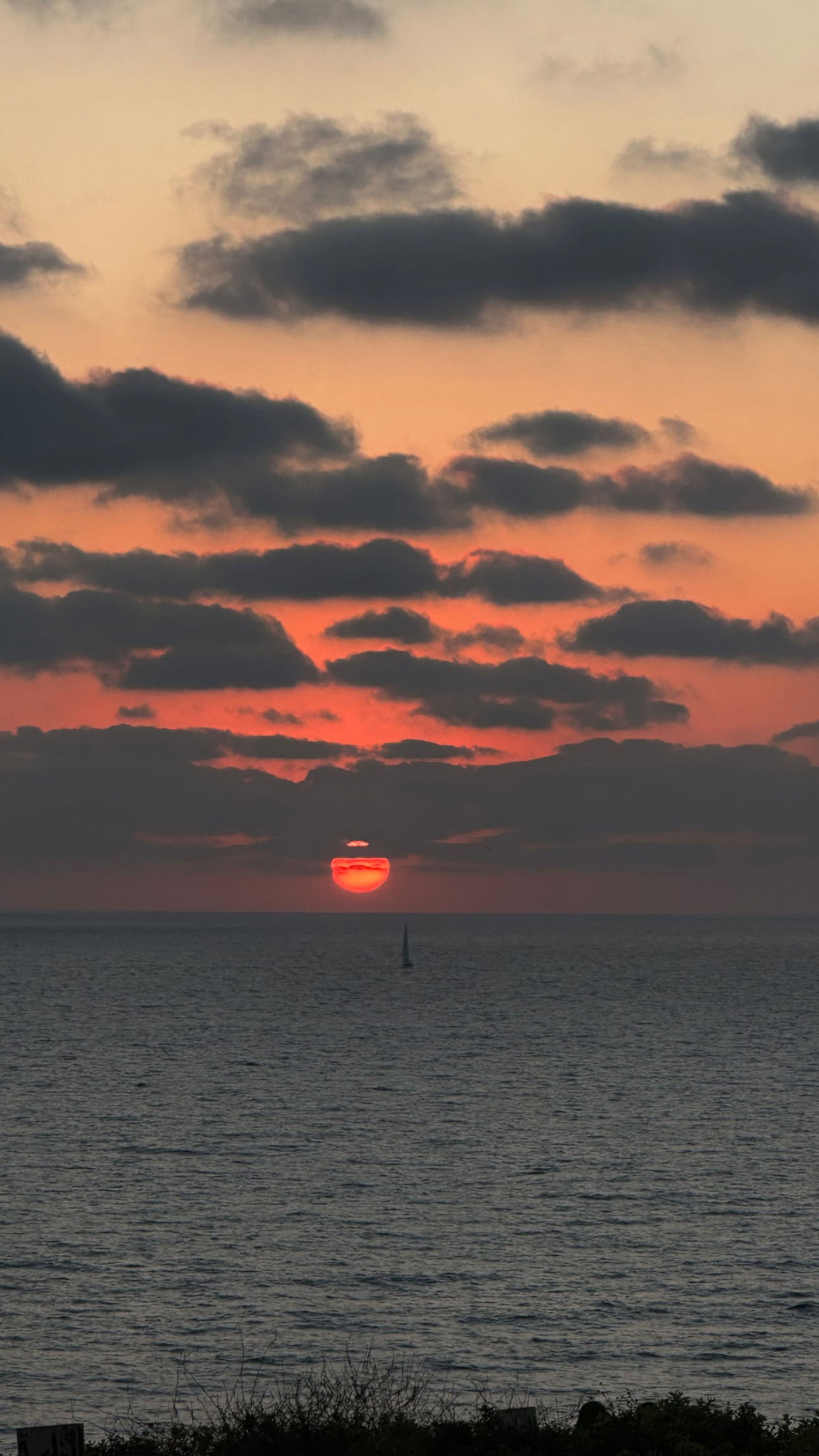 talweisswasser instagram image archive image