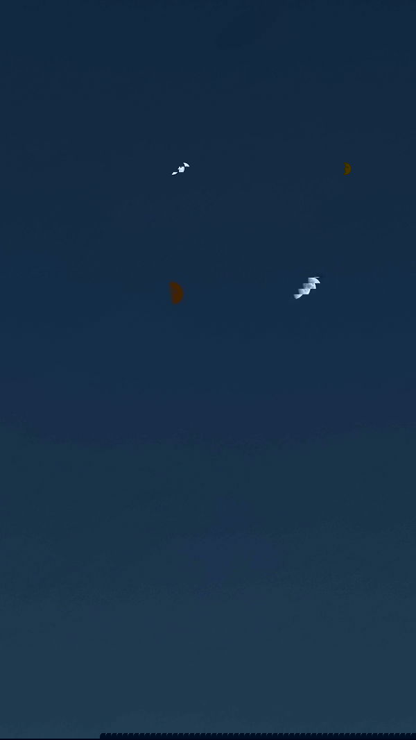 talweisswasser image ~ Altpins