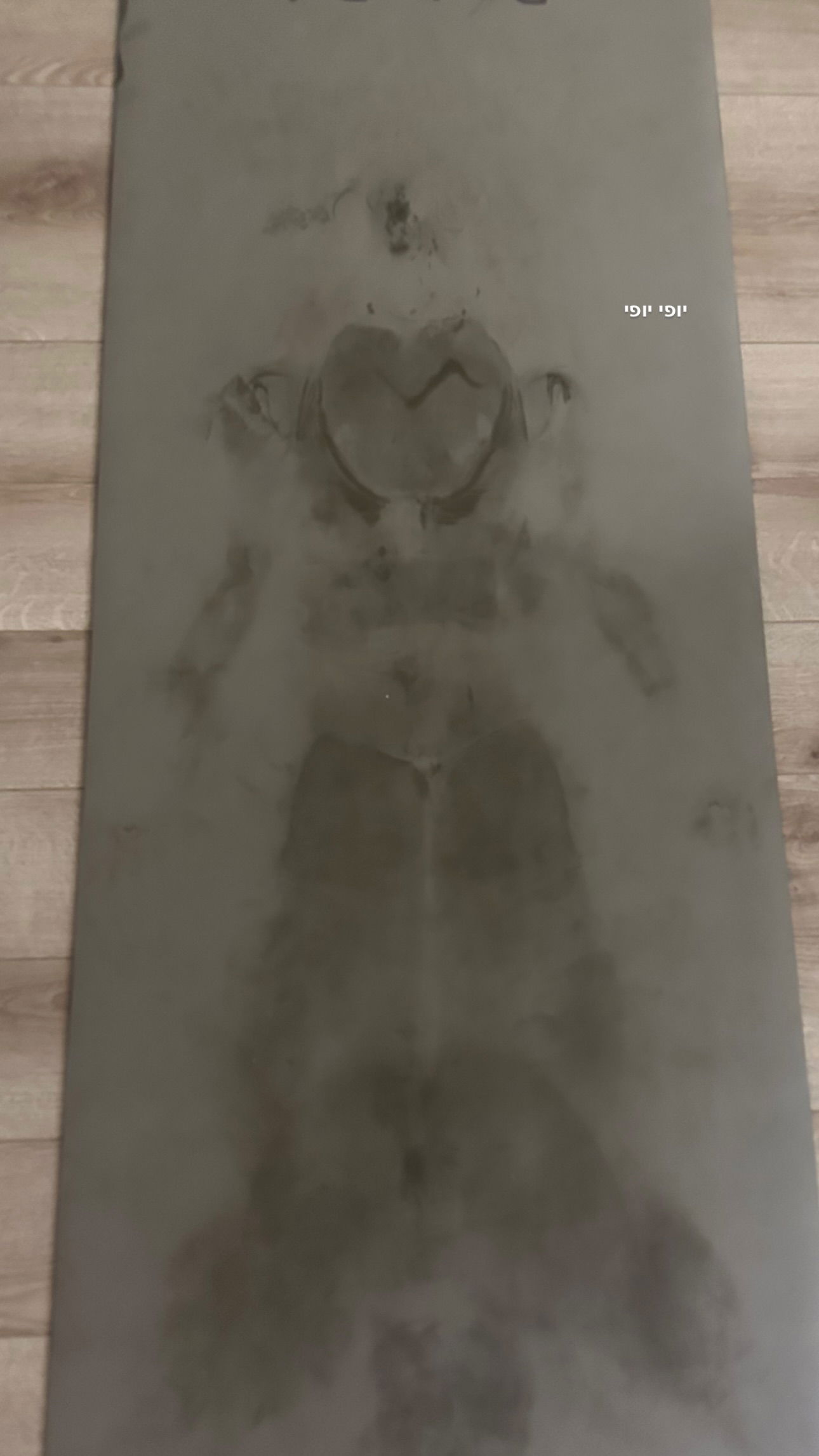 talweisswasser instagram image archive image