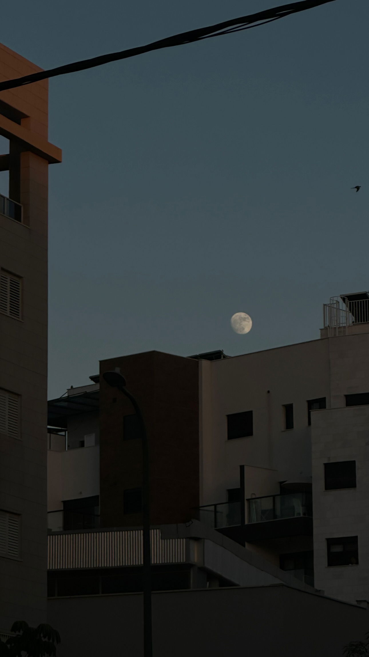 talweisswasser instagram image archive image