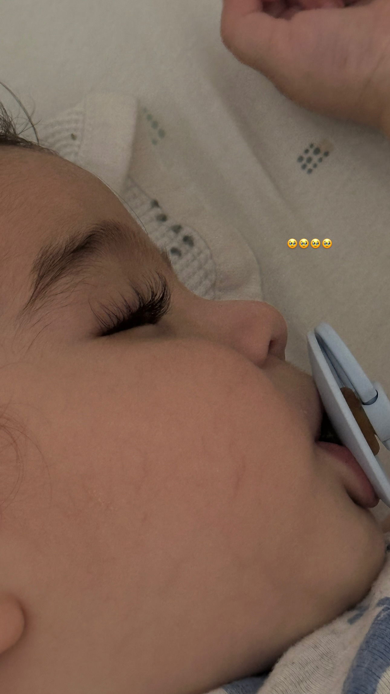 talweisswasser instagram image archive image