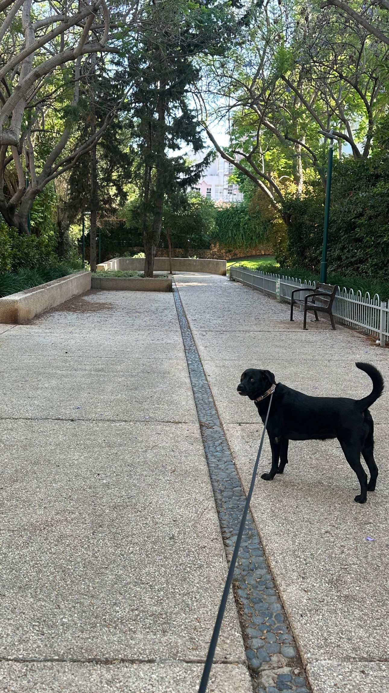 talweisswasser instagram image archive image