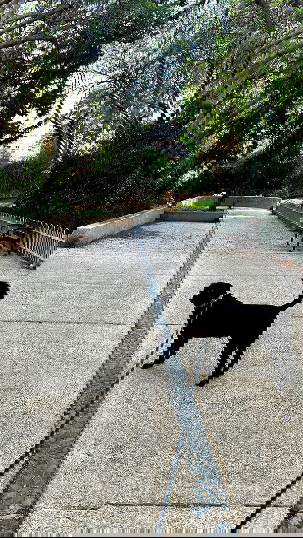 talweisswasser image ~ Altpins