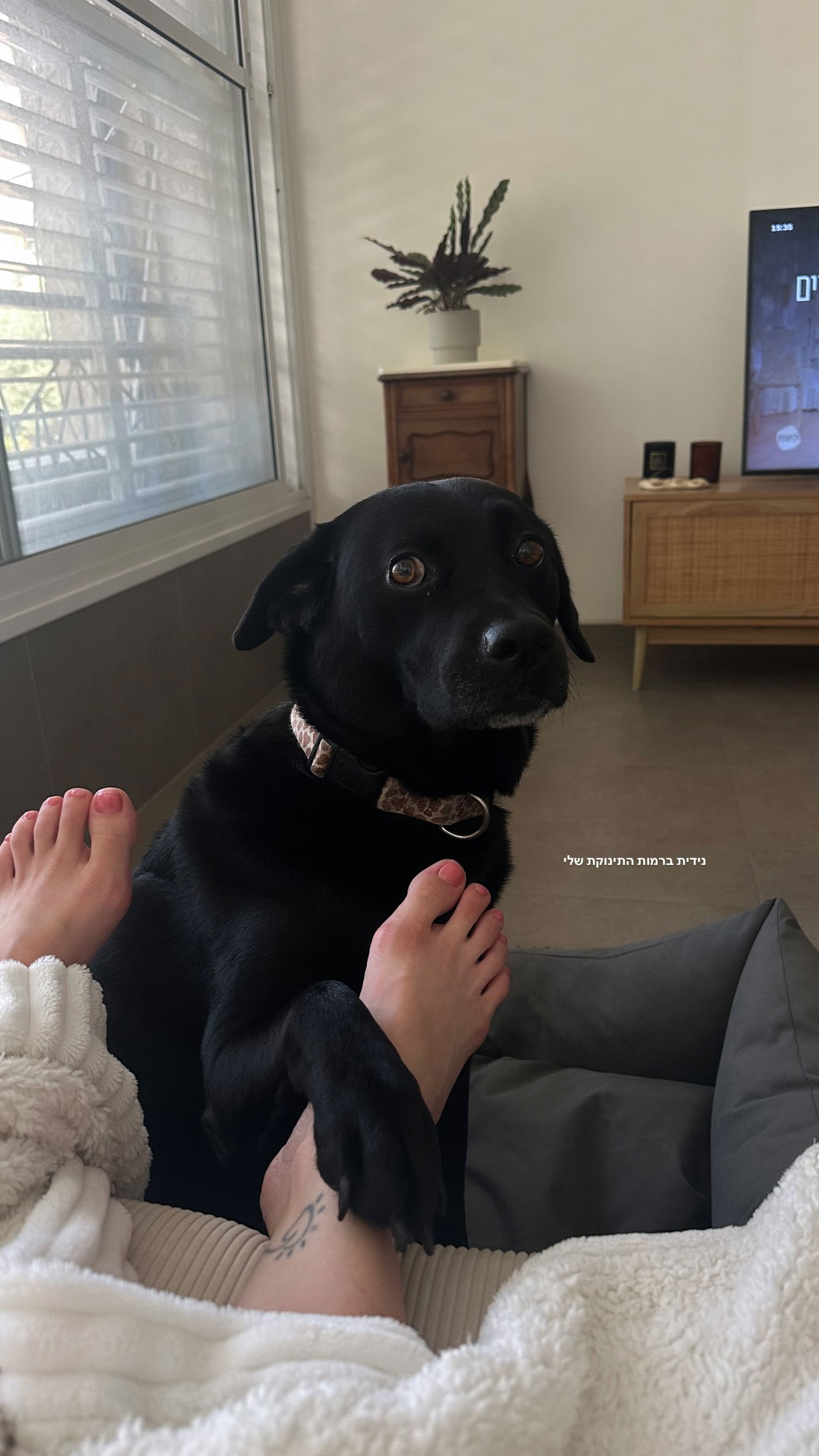 talweisswasser instagram image archive image