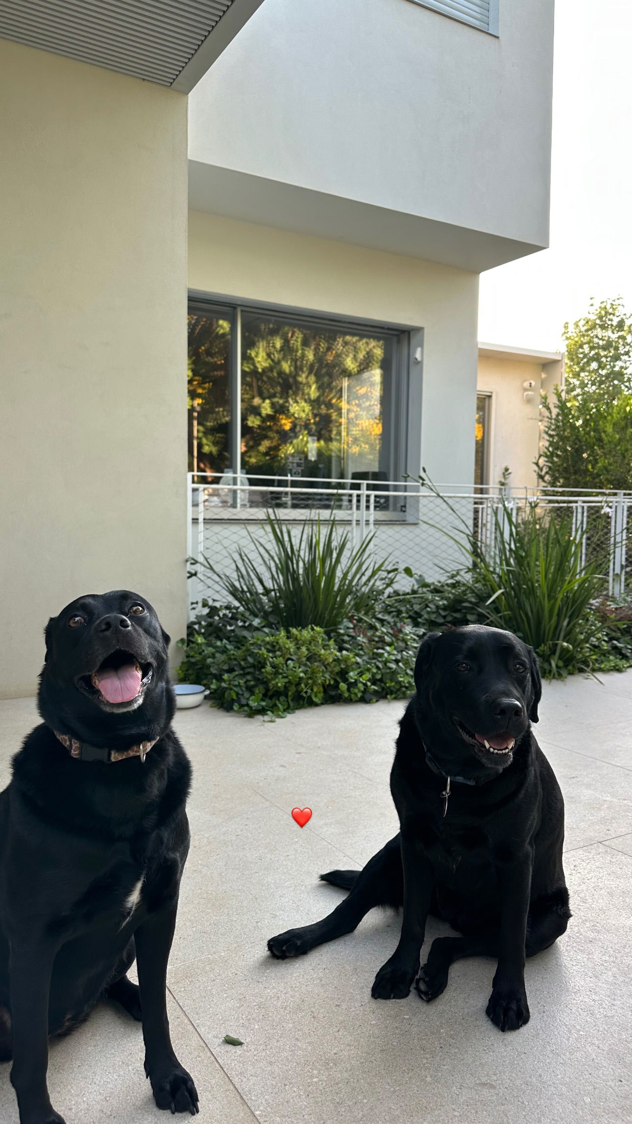 talweisswasser instagram image archive image