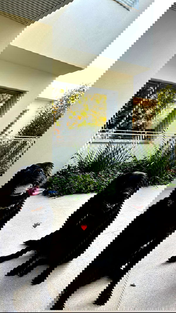 talweisswasser image ~ Altpins