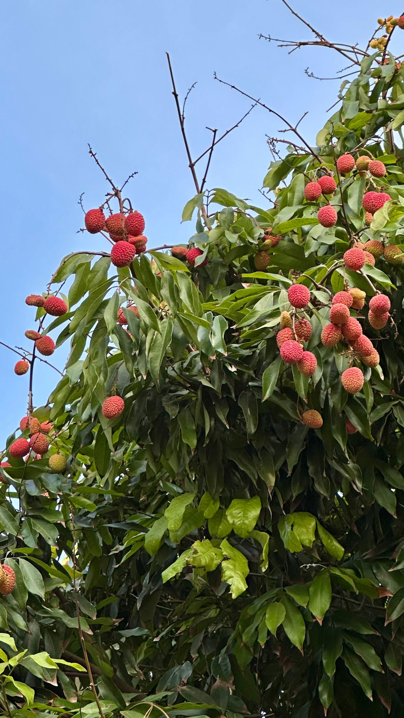 talweisswasser instagram image archive image